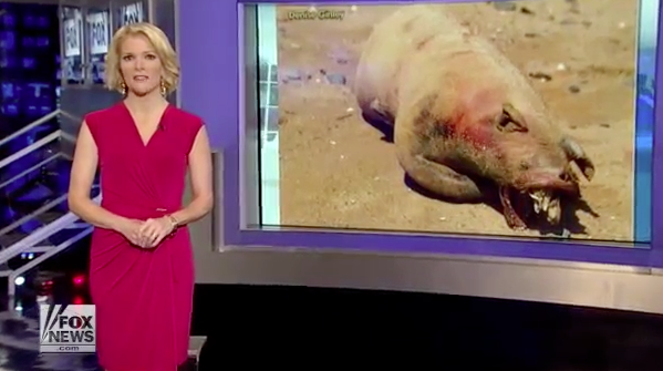 Another Montauk Monster Video Still for Viral