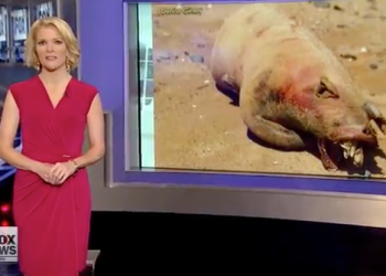 Another Montauk Monster Video Still for Viral