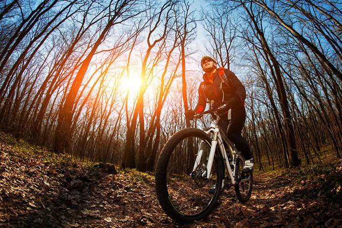 Fall bicycle ride in woods