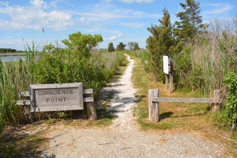 Conscience Point trailhead.