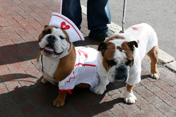 Igor and Izzy as the nurse and the patient