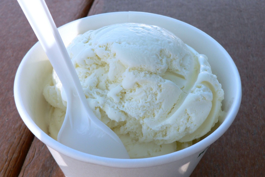 Vanilla Ice Cream is a family favorite