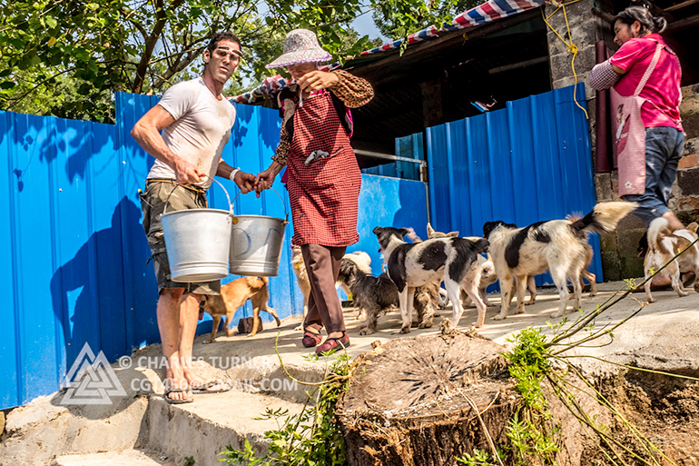 No Dogs Left Behind advocates care for rescued dogs in Beijing, China Yulin Meat Festival