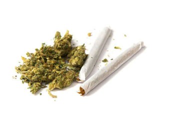 marijuana2