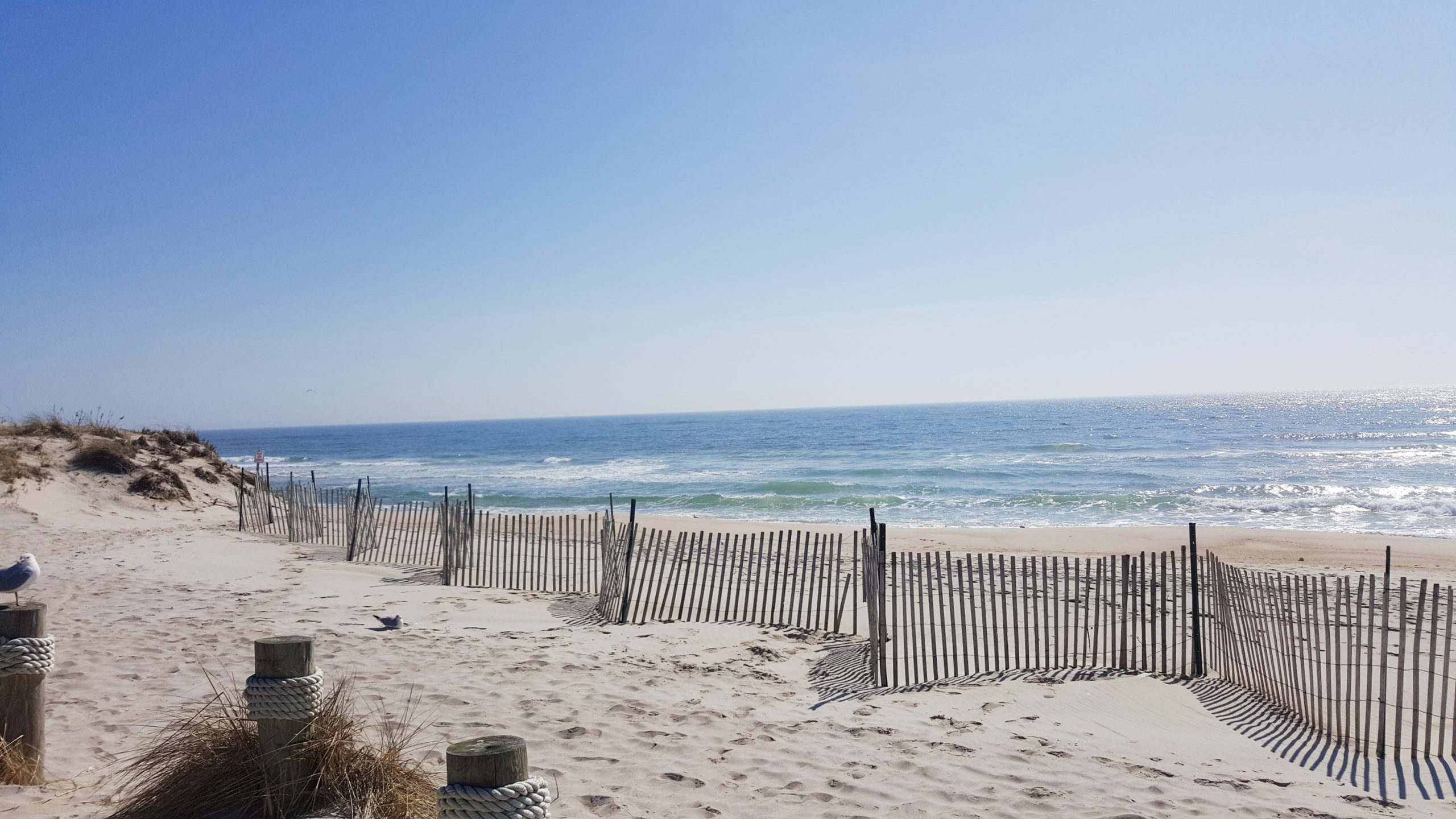 Coopers Beach.
