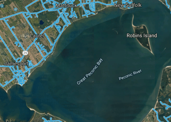 Google Maps
