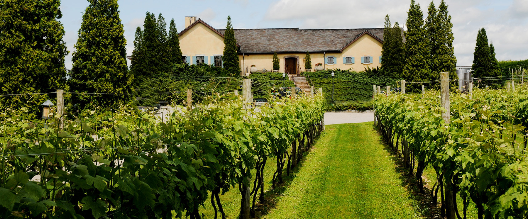Wölffer Estate Vineyard