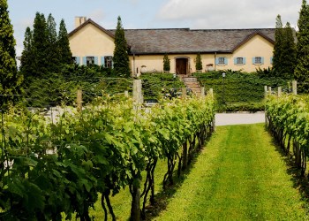 Wölffer Estate Vineyard