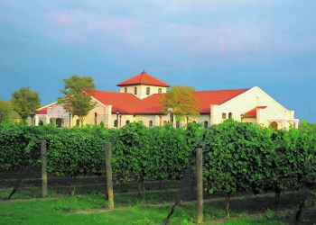 Raphael Winery