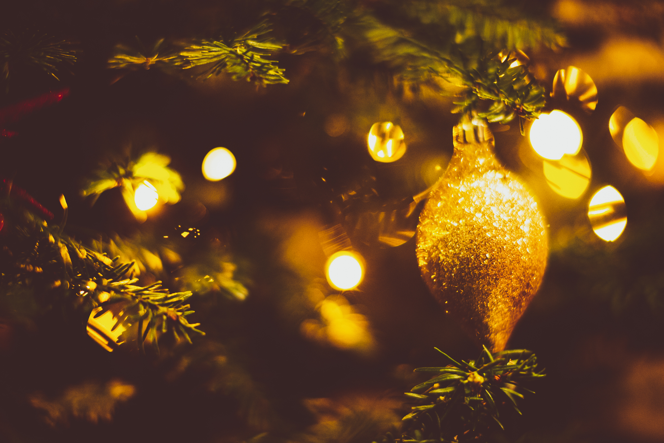 Christmas, Festival, Decoration, Joy - Beautifully decorated Christmas Tree and Golden Colored Ornate in Palm Beach