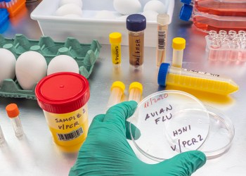 Bird flu has reached the East End