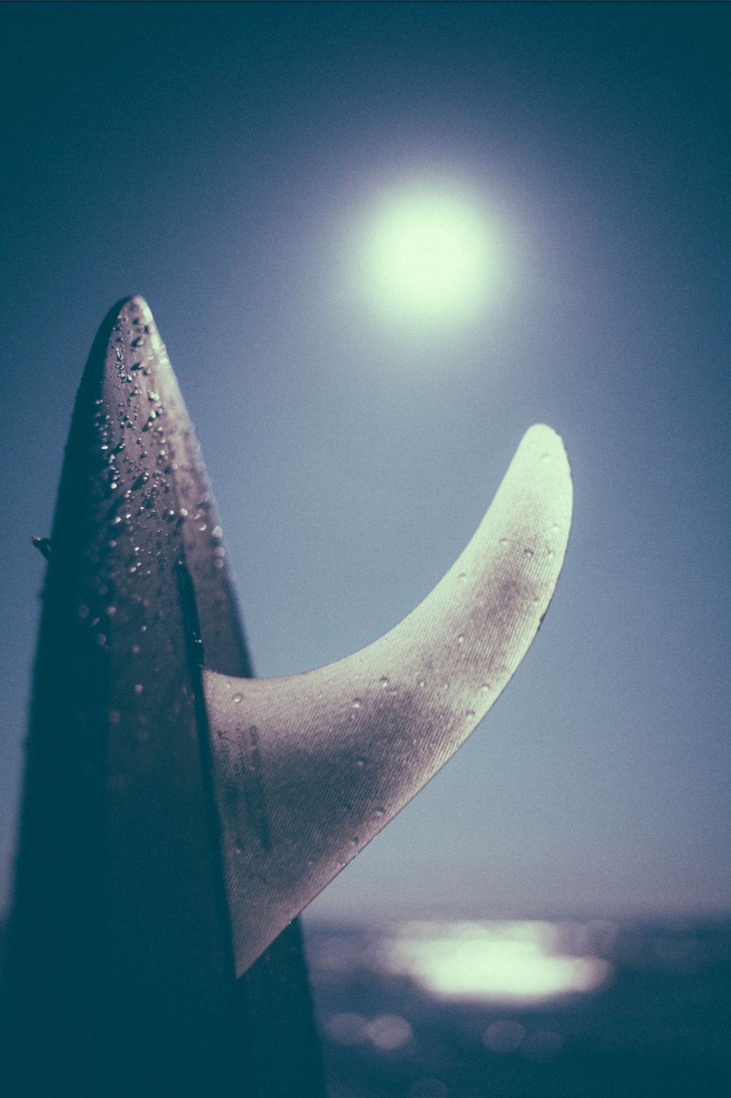 "Moonlit Slides" by James Katsipis