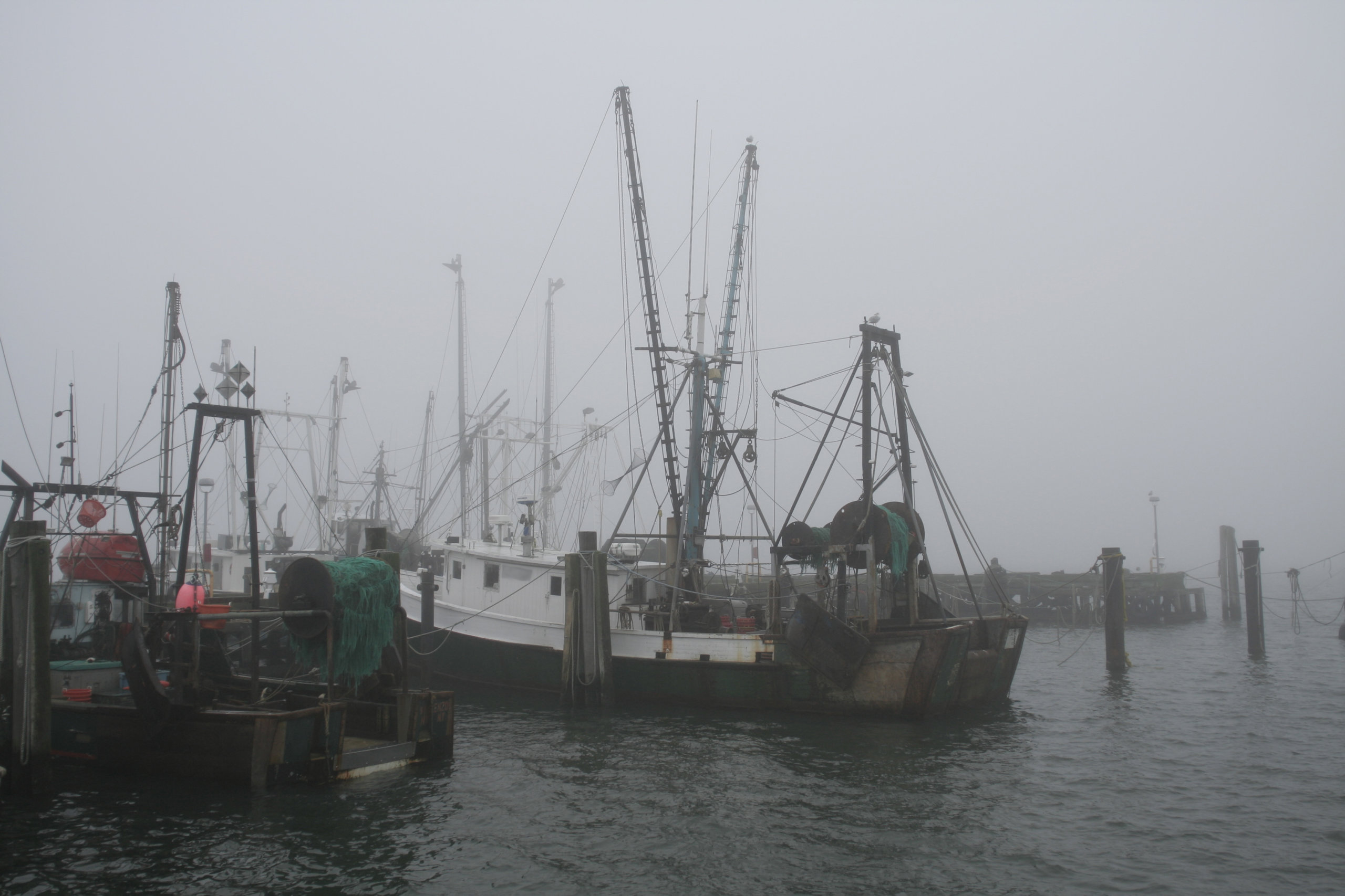Lobster fishing boats docked in foggy Hampton Bays