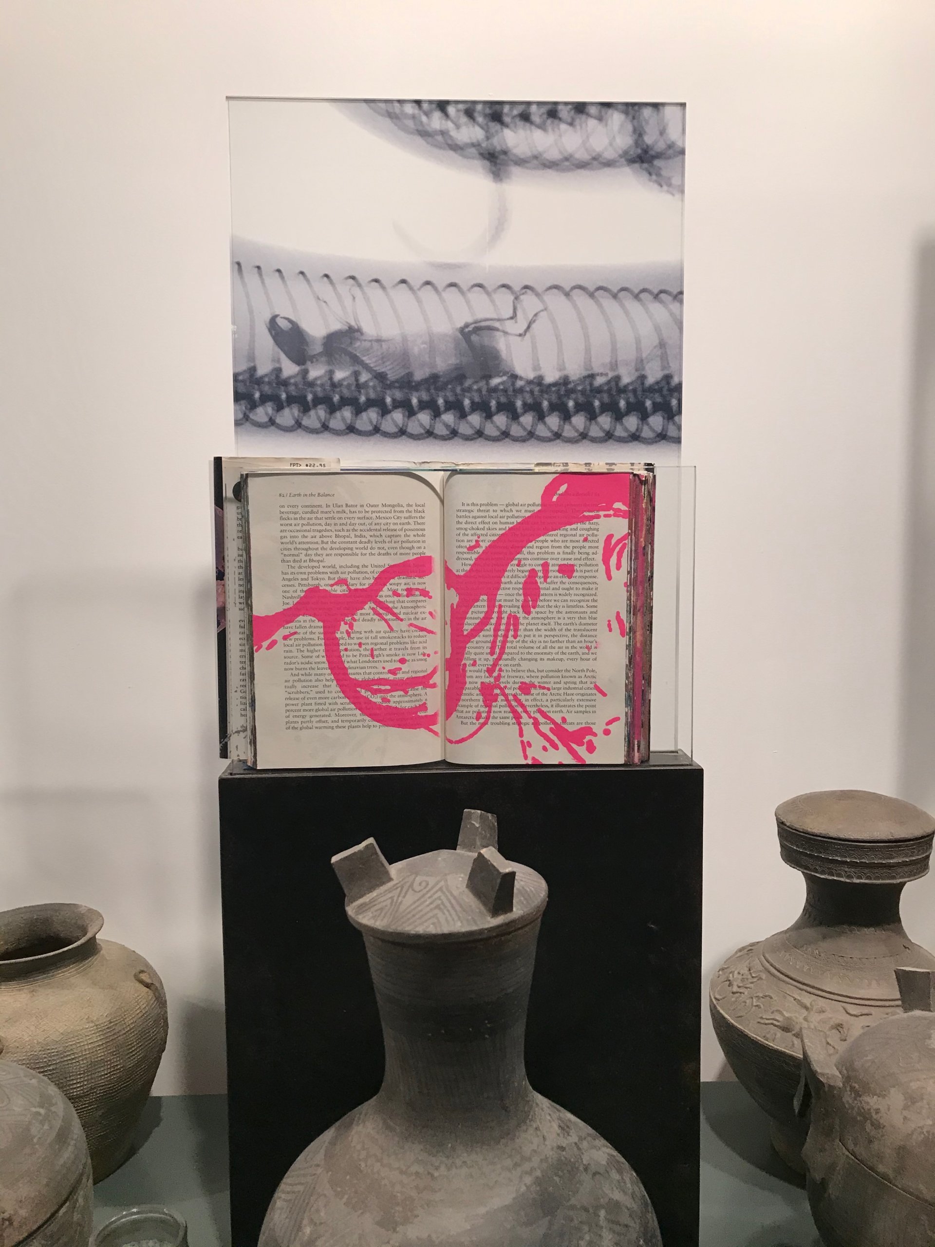 Steve Miller painted book displayed with X-ray photograph
