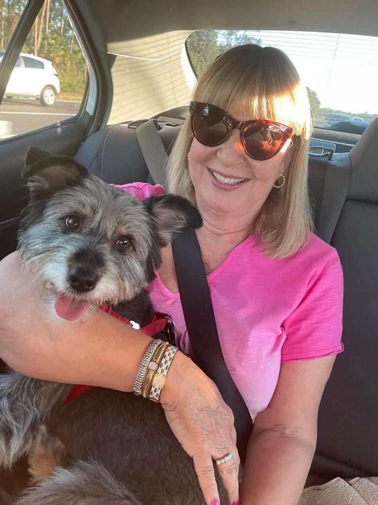 Dog rescued by No Dogs Left Behind