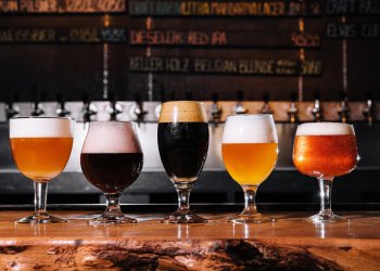 different types of craft beer in glasses on table in breweries pub interior in daylight
