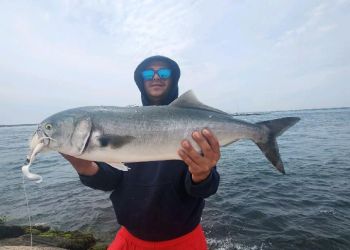 Petey Trovato with a 12 lbs bluefish at the Shinnecock East jetty on May 17, 2023. (Frank Pace)