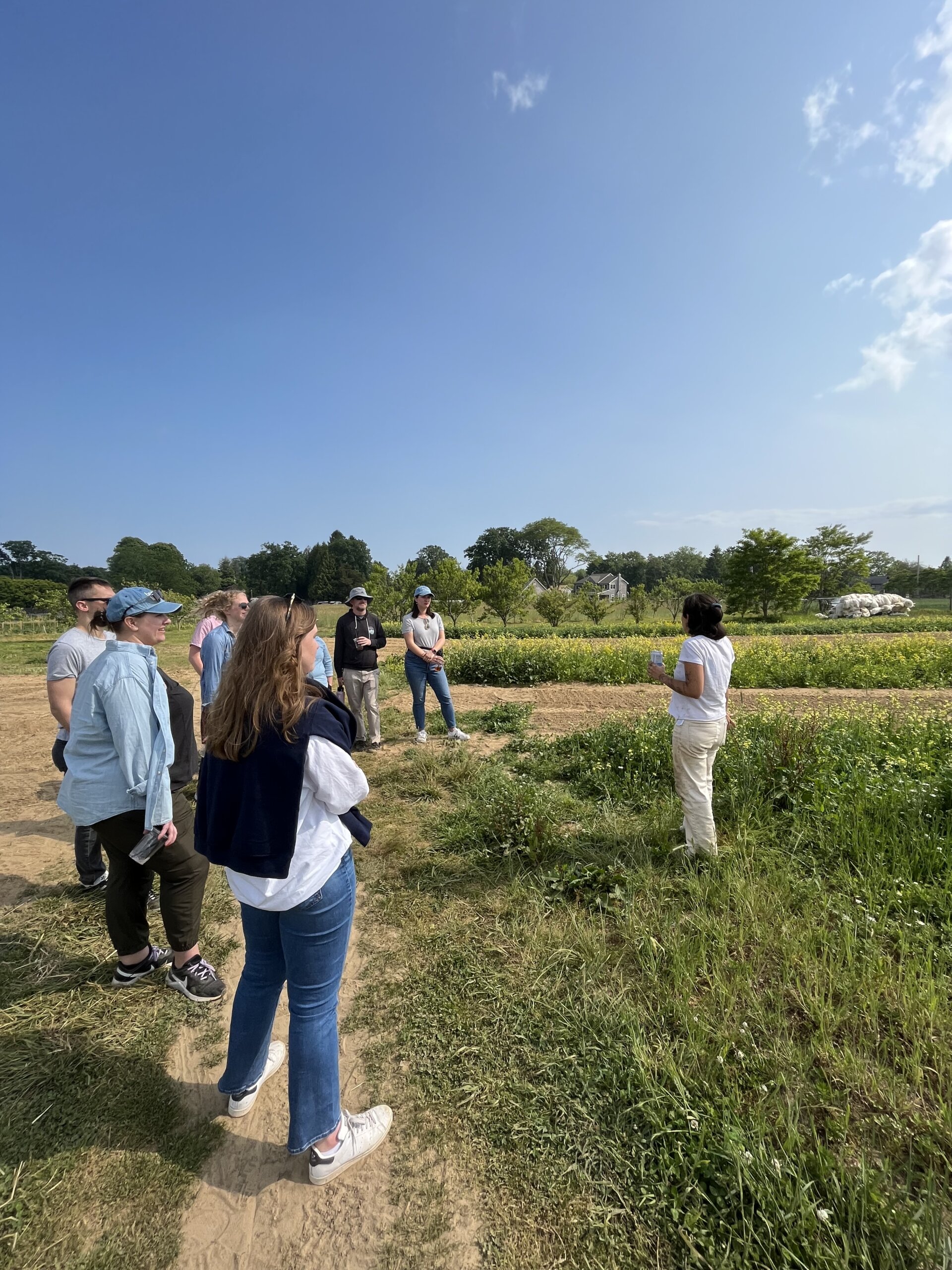 Try a self-guided tour of Amber Waves Farm