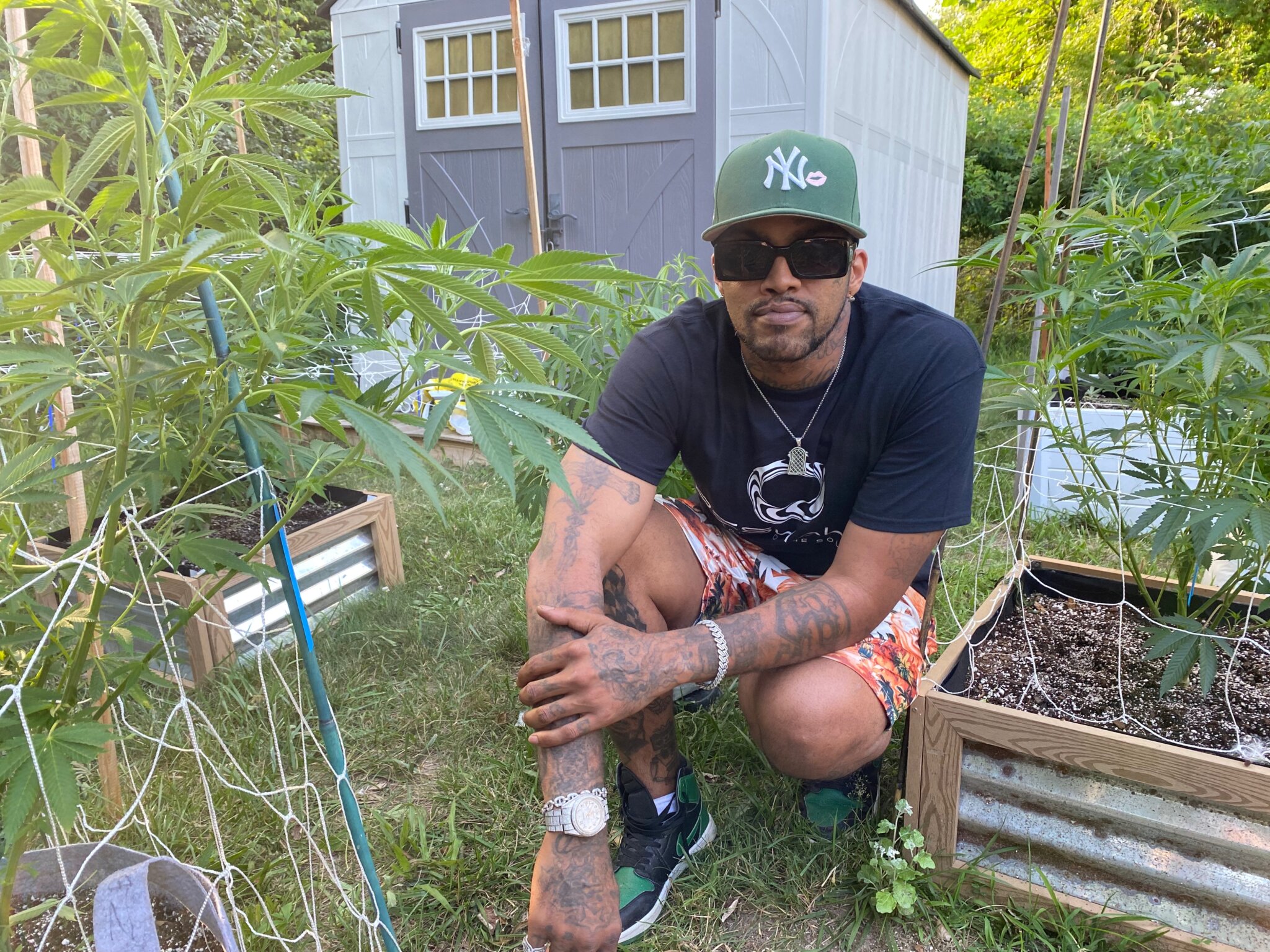 Taboo with his outdoor cannabis plants on the Shinnecock Reservation
