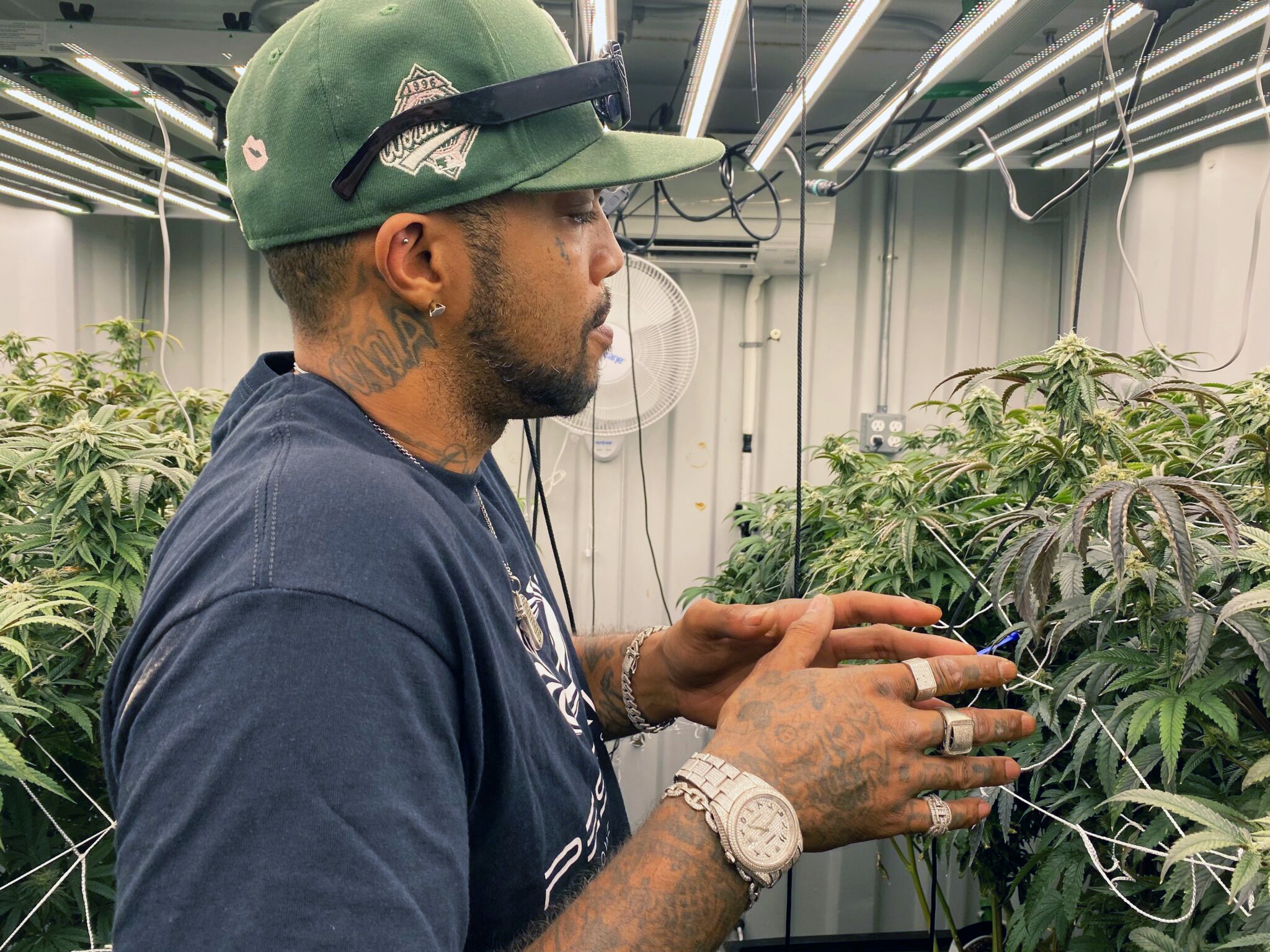 Taboo in his cannabis grow room on the Shinnecock Reservation