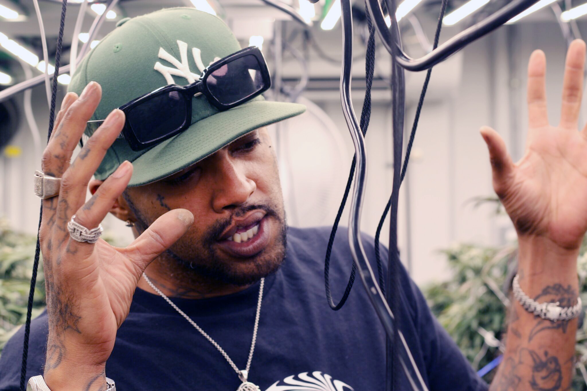 Taboo in the grow facility