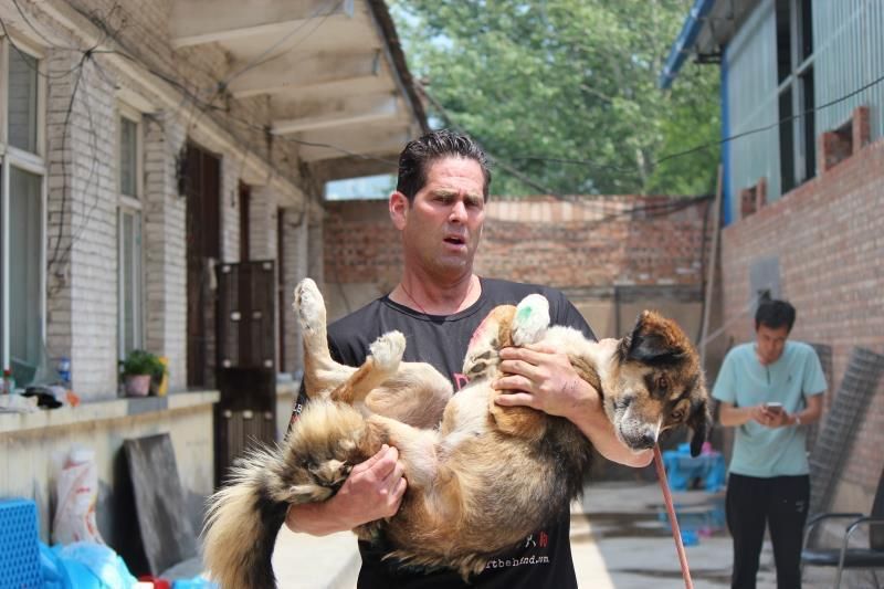 Jeff Beri of No Dogs Left Behind saves dogs from the Yulin Meat Festival