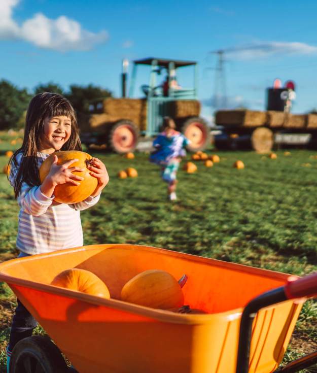 It's peak season for East End fall festivals in the Hamptons and North Fork