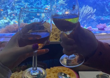 Fish and Sips at the Long Island Aquarium is back.