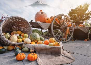Halloween is over – but pumpkin season isn't! Make pumpkin volcanoes with your kids in Westhampton Beach on Nov. 14.