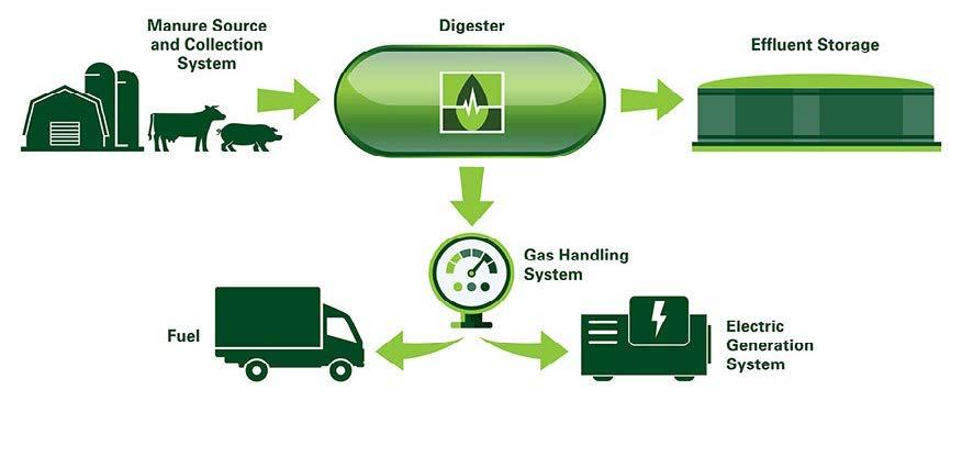 Green energy can make money
