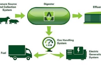 Green energy can make money