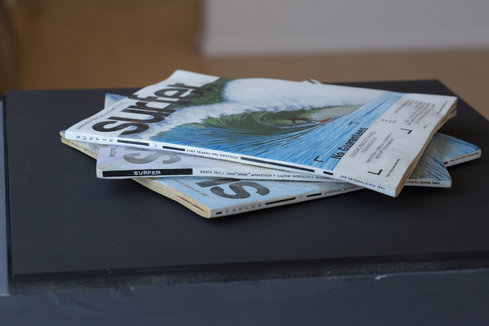 Randy Rosenthal "Surfers Journals" at 484 Gallery