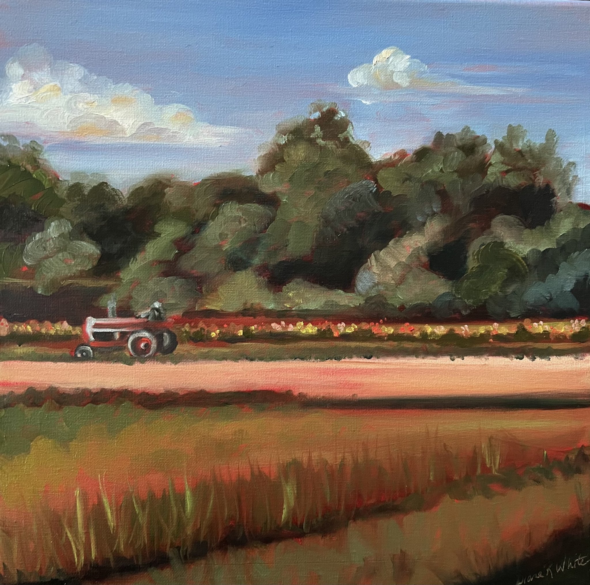 "Only The Sound of a Tractor" by Diane R. White