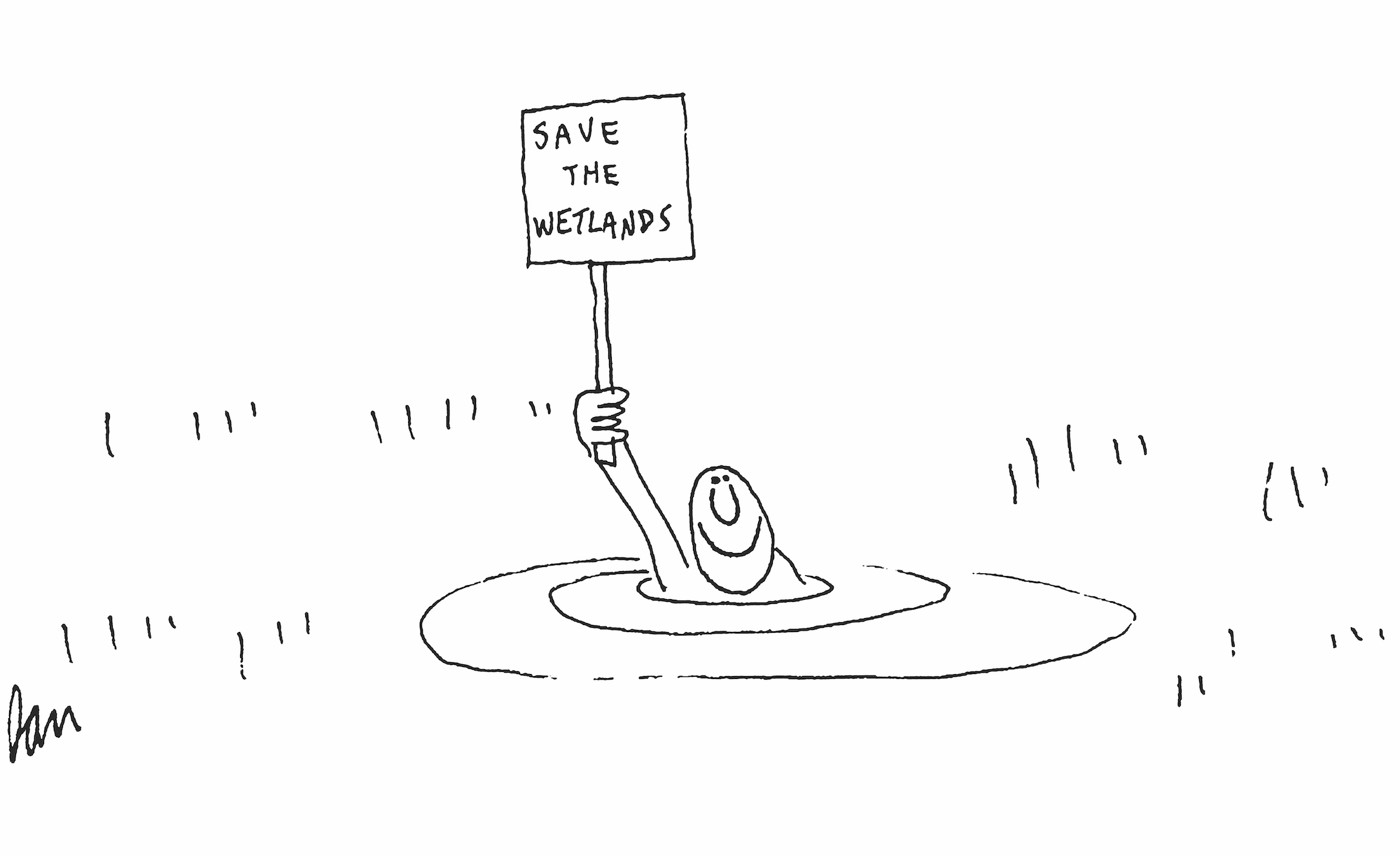 Save the wetlands cartoon by Dan Rattiner